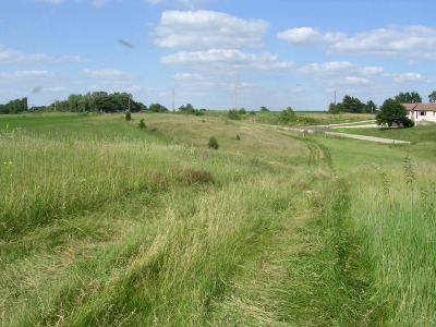 native prairie