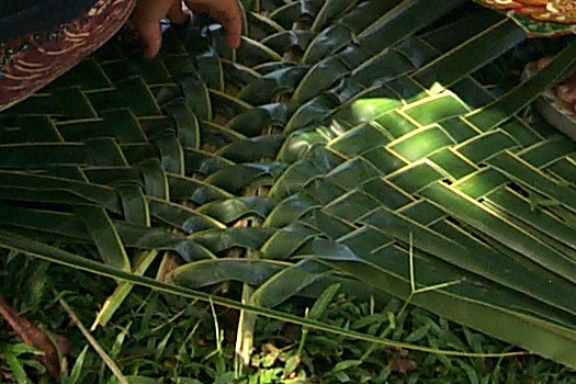 palm frond mat