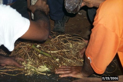 sakau ceremony