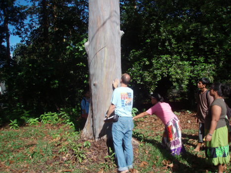 talking_to_trees