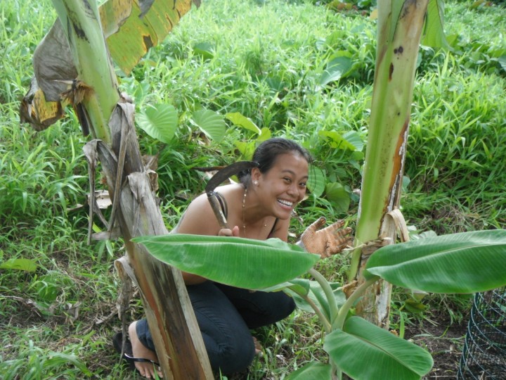 ethnobotanical gardening