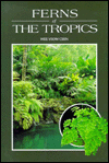 Ferns of the Tropics