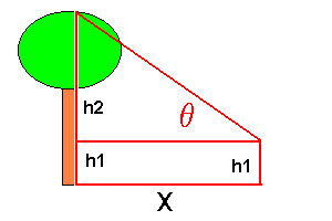 trigtreeheight.gif (2555 bytes)