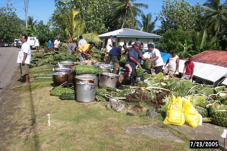 The men are redistributing uhm baked breadfruit, coconuts