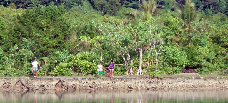 There are many tropical fish in the clear water of the lagoon.