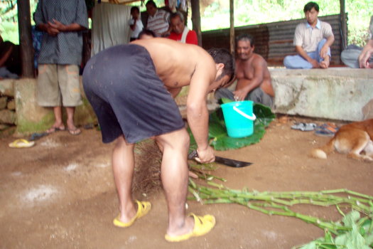 cutting_sakau