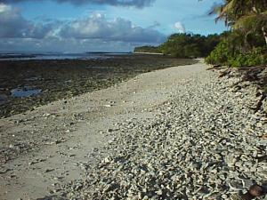 Beach berm at Piyuul: short shelf, steep berm.