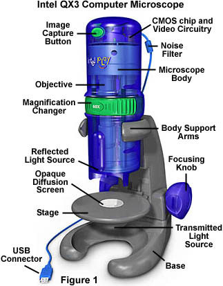 intelplay.jpg (36232 bytes)