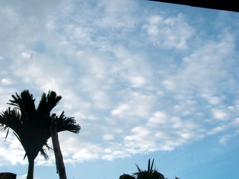 altocumulus clouds