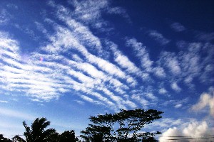 altocumulus01.jpg (24595 bytes)