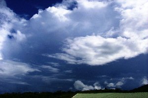 cumulonimbus_cauliflower.jpg (12704 bytes)