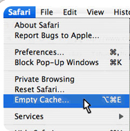 safari