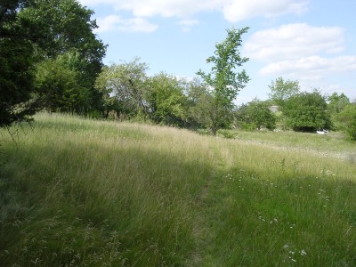 meadows