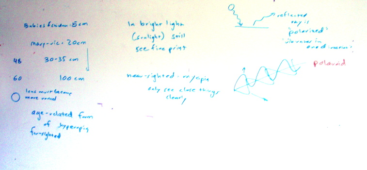 Lens activity white board