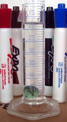 marble in cylinder marble in cylinder