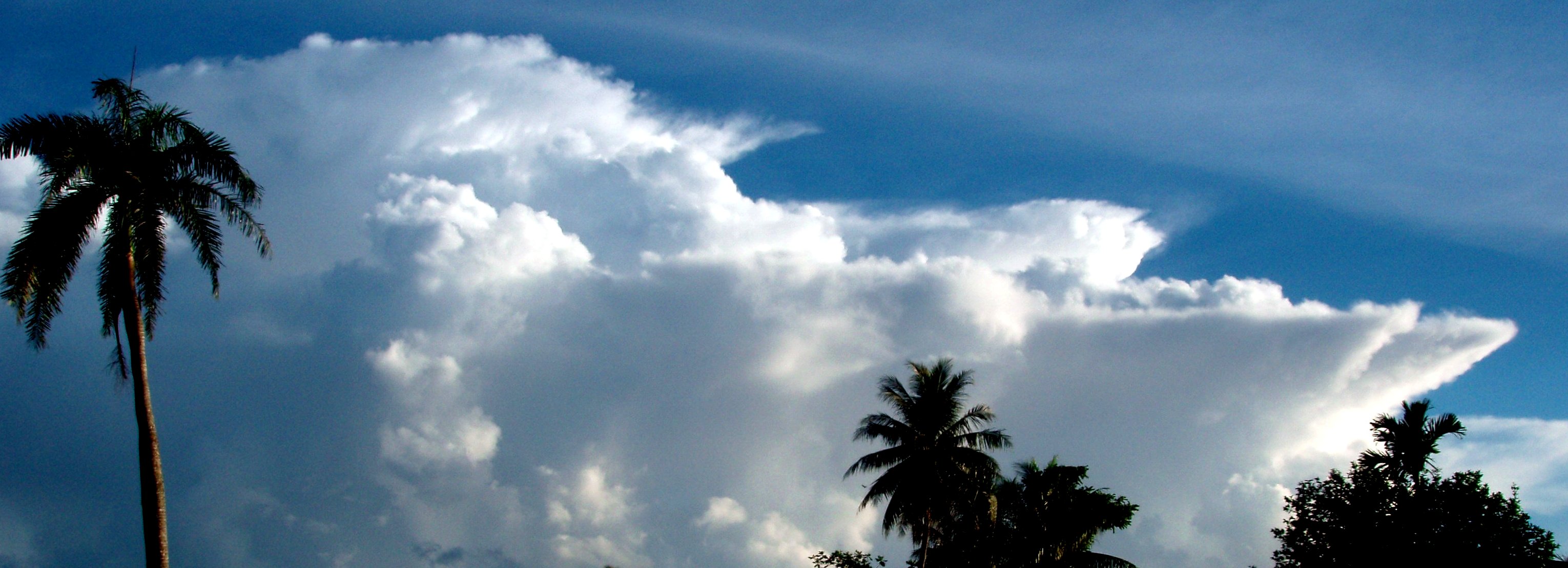 Cumulus congestus builds into anvil-topped non-thunderheads only in Pohnpei