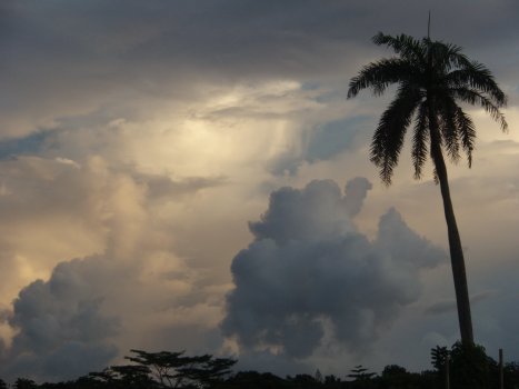 Clouds lit by the rising or setting sun often produce colors